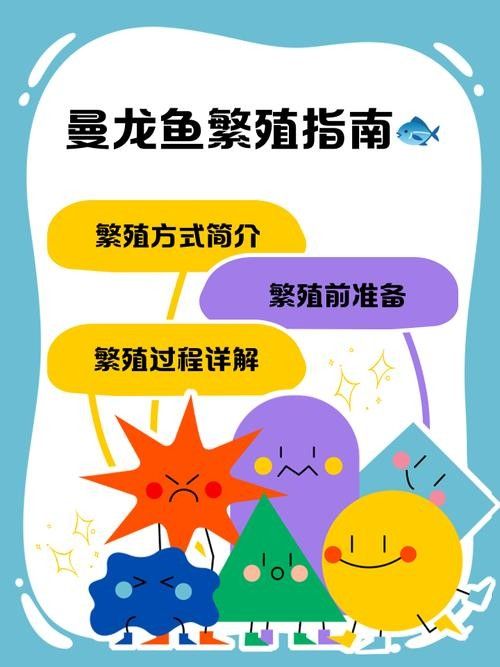 曼龍魚成魚繁殖期應該喂什么（曼龍魚的飼養與繁殖技巧全解析）