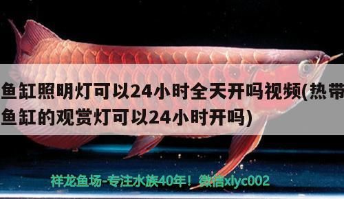 興城市麗新觀賞魚繁殖場（興城麗新觀賞魚繁殖場）