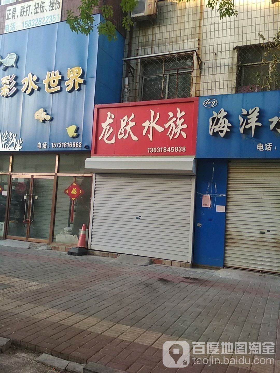 衡水龍魚水族館的地址在哪里？（河北衡水龍魚水族館有哪些特色龍魚與“天龍水族”地址）