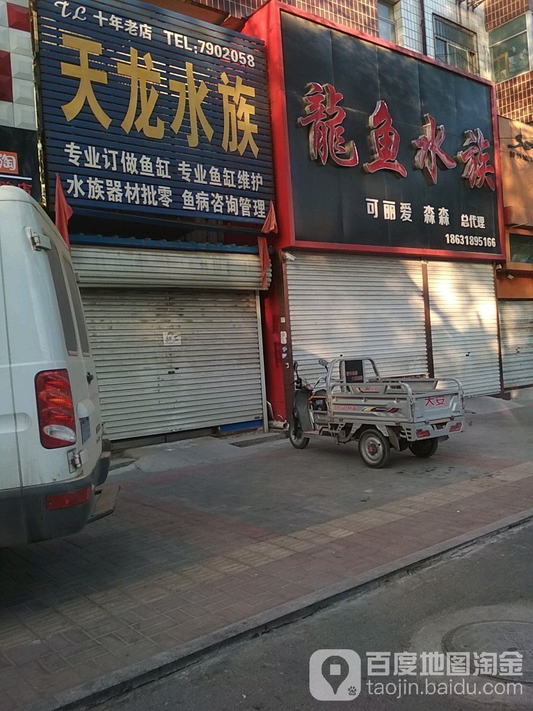 衡水龍魚水族館的地址在哪里？（河北衡水龍魚水族館有哪些特色龍魚與“天龍水族”地址）