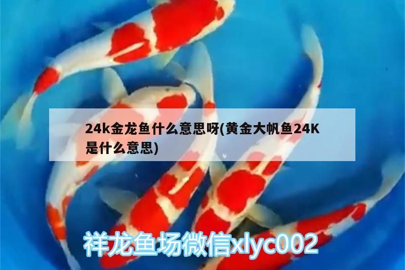 松原水族館轉(zhuǎn)發(fā)大神魚(yú)池（松原水族館成功引入資深的魚(yú)類(lèi)養(yǎng)殖專(zhuān)家）