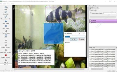 觀賞魚交流軟件（觀賞魚交流平臺推薦）