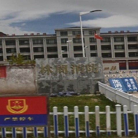 <strong><mark>林周</mark></strong>哪個(gè)水族館龍魚好？祥龍魚場(chǎng)龍魚