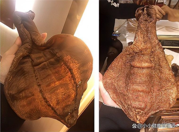如何鑒別真假野生金龍魚膠