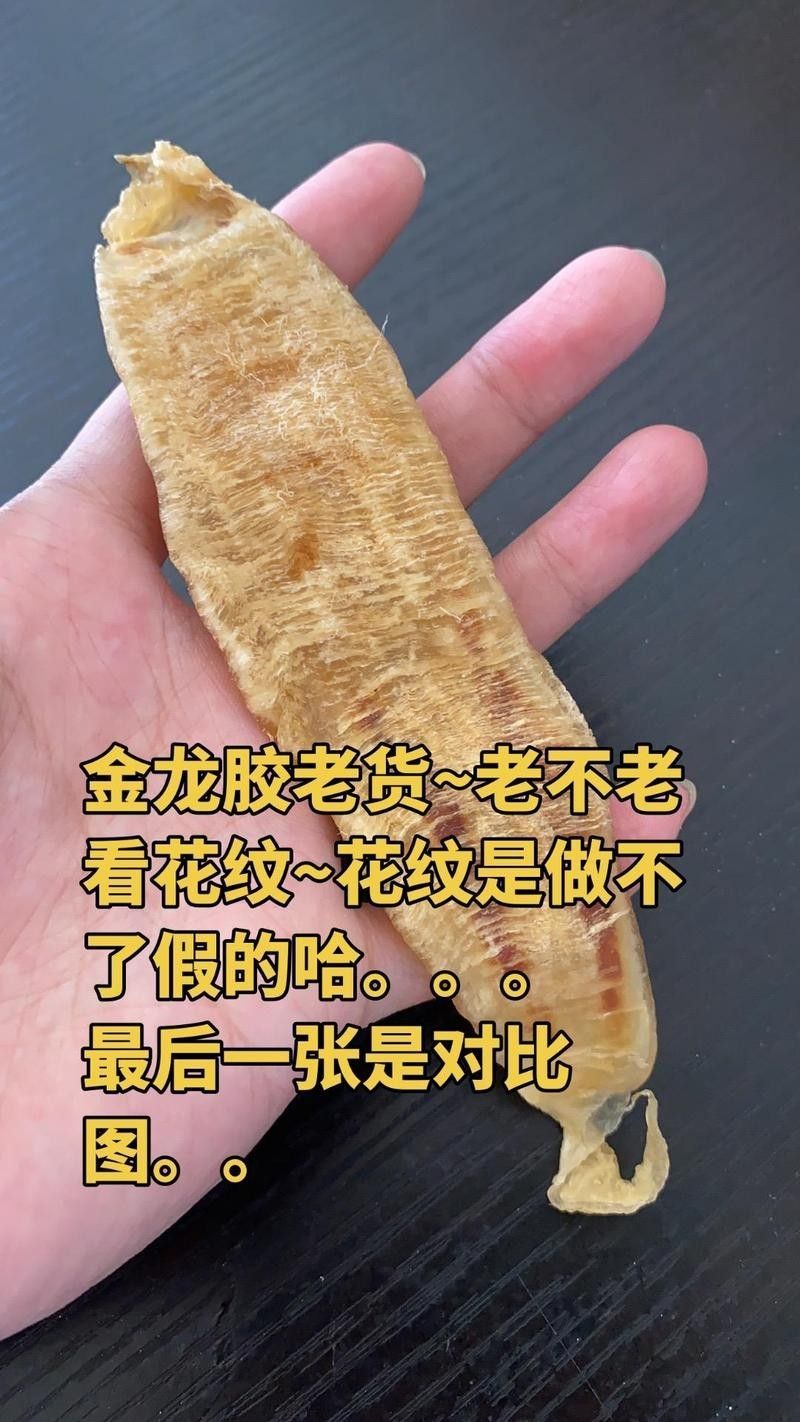 如何鑒別真假野生金龍魚膠