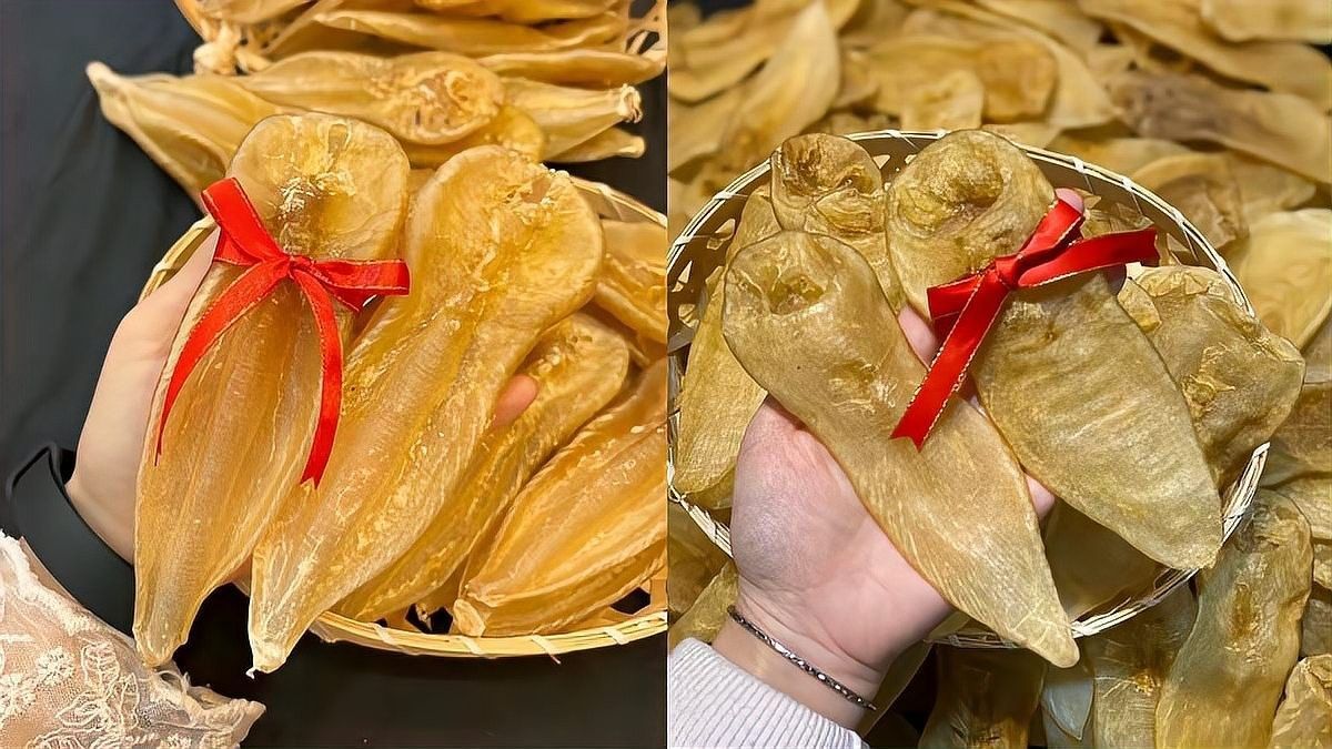 如何鑒別真假野生金龍魚膠