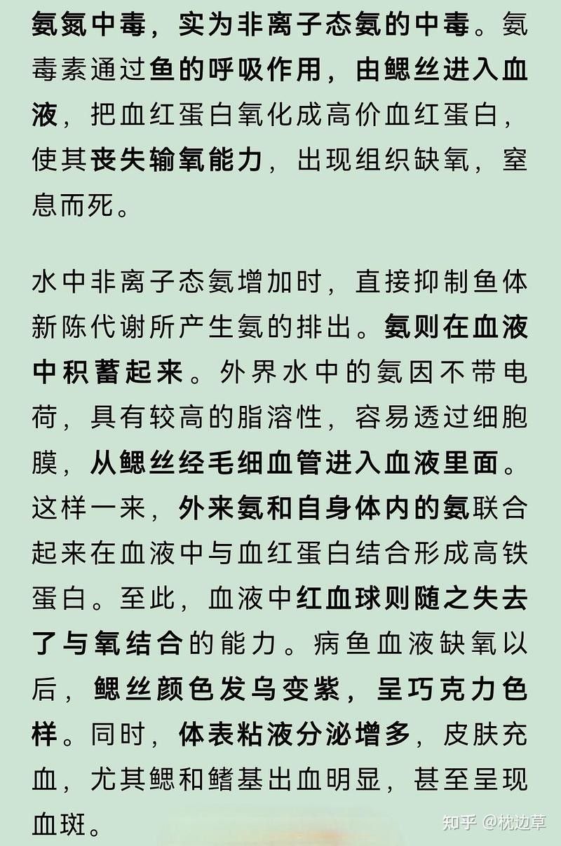 龍魚死后多久清理魚缸（龍魚死了，怎么正確處理水質）