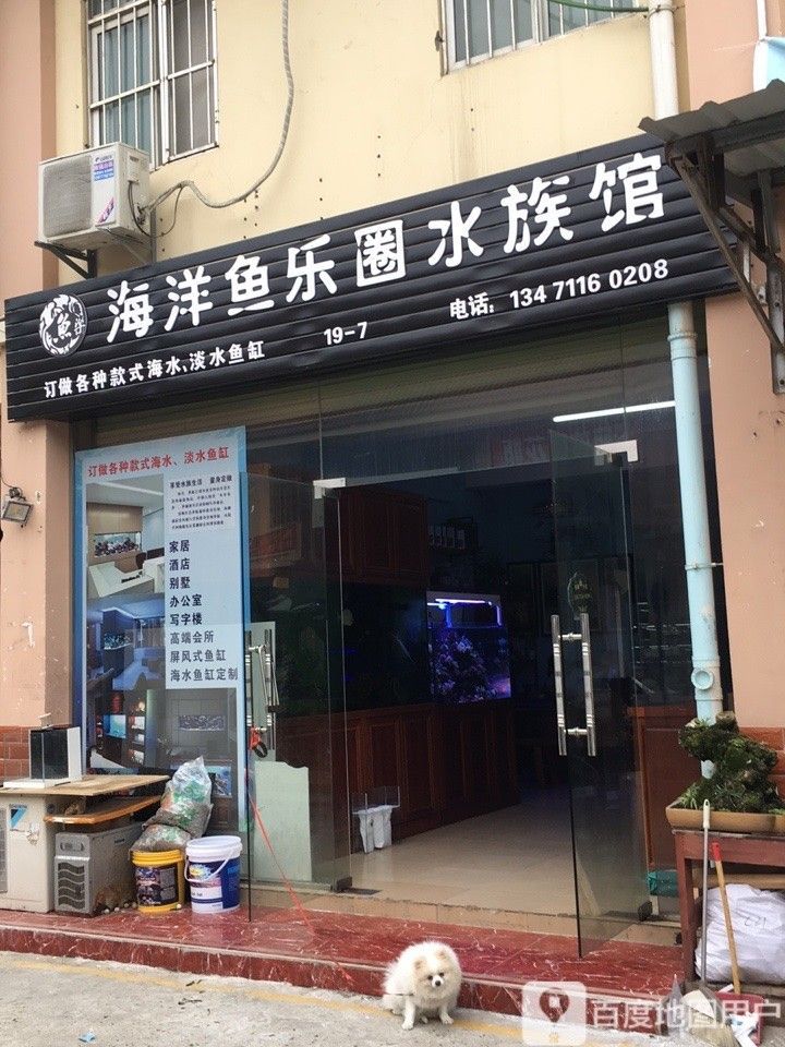 興寧哪個水族館龍魚好？祥龍魚場龍魚（興寧哪個水族館龍魚好）