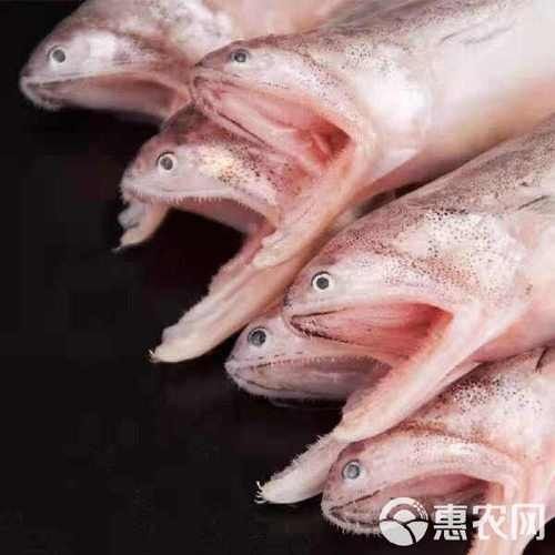 如何判斷水龍魚是否新鮮？