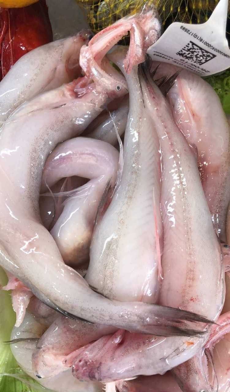 如何判斷水龍魚是否新鮮？