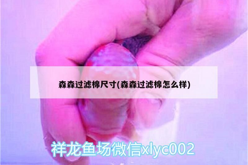 森森過濾棉尺寸(森森過濾棉怎么樣) 森森過濾棉尺寸(森森過濾棉怎么樣) 觀賞魚百科
