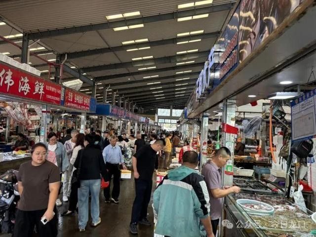 黑金龍魚的市場行情如何
