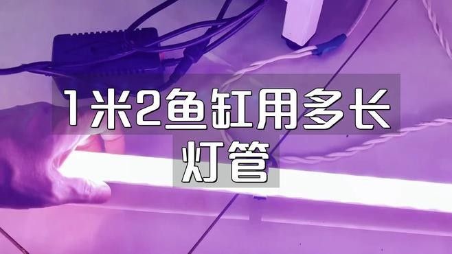 如何根據魚缸尺寸選擇LED燈？（如何根據魚缸尺寸選擇led燈）