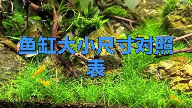 如何根據魚缸尺寸選擇LED燈？（如何根據魚缸尺寸選擇led燈）