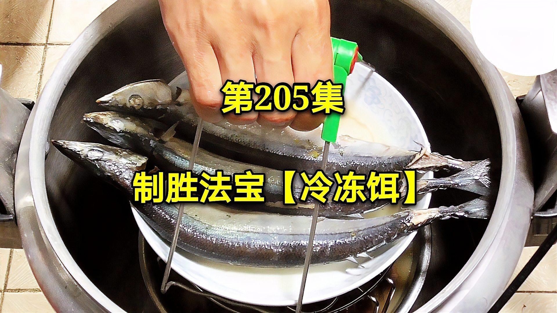 活體餌料和冷凍餌料哪個更好