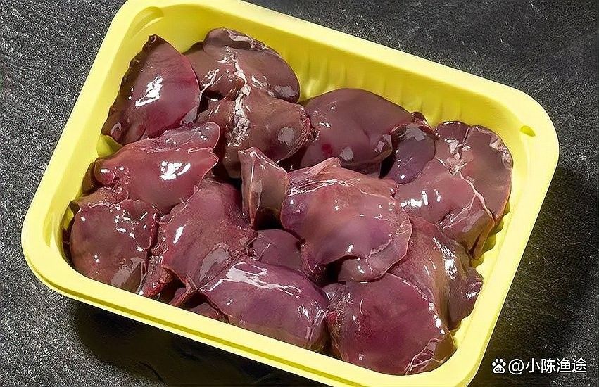 活體餌料和冷凍餌料哪個更好