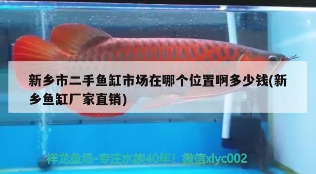 水族館水族館名字大全、好聽的水族館名字大全、好聽的水族館名字大全，好聽的水族館名字大全