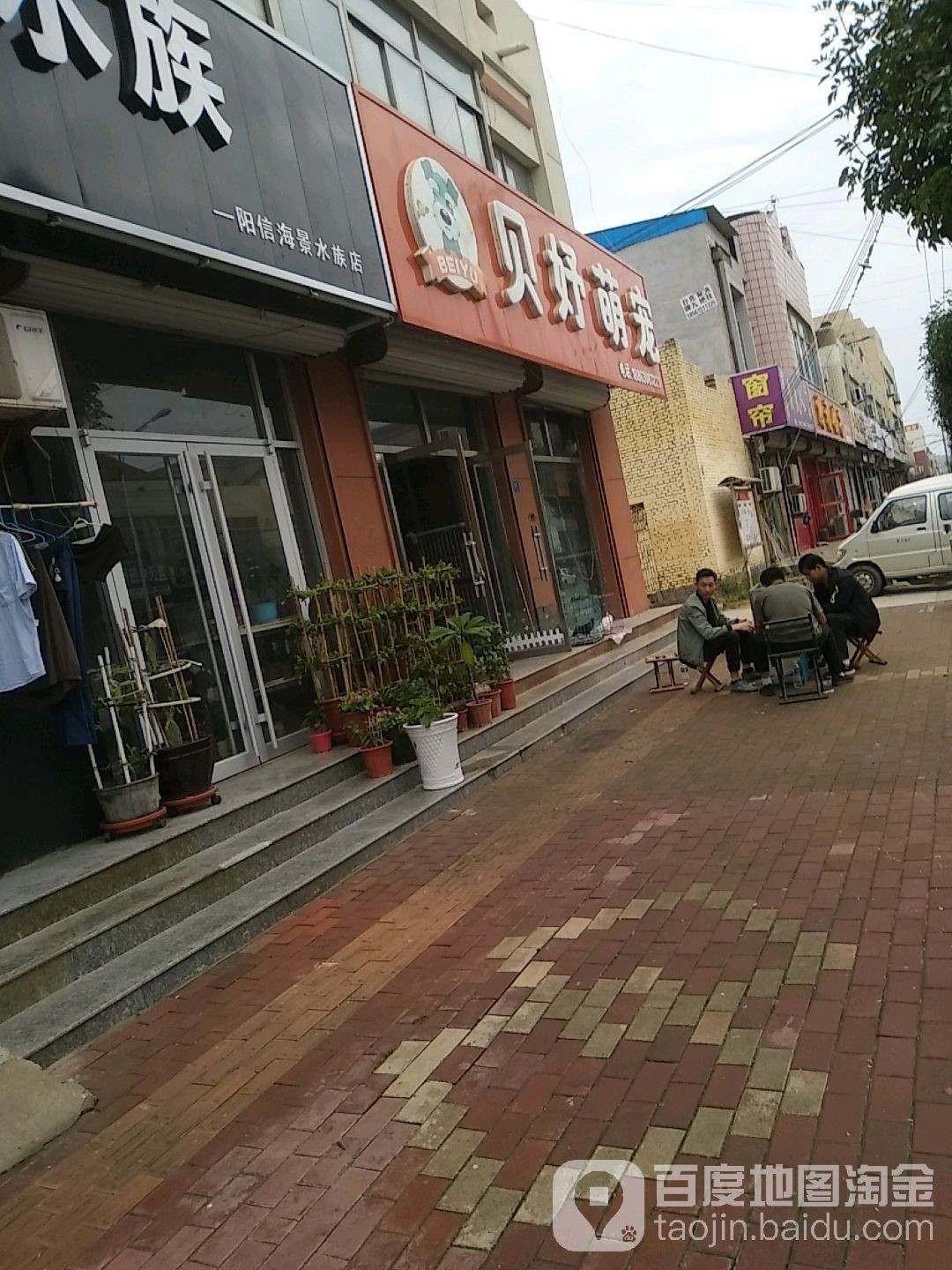 天津龍魚有哪些品種？（天津龍魚品種對比表格，天津龍魚的價格范圍和價格區間）