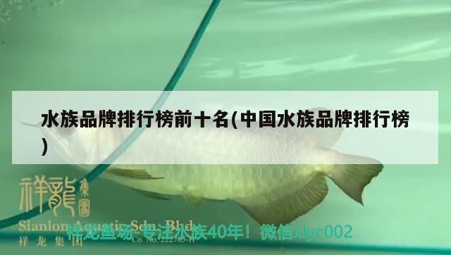 水族品牌排行榜前十名(中國水族品牌排行榜)（中國水族品牌排行榜前十名）