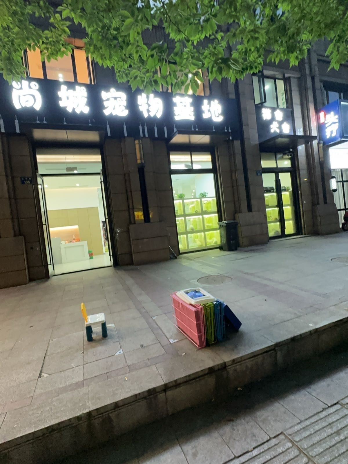給我推薦一些杭州的寵物市場（杭州寵物市場） 給我推薦一些杭州的寵物市場（杭州寵物市場） 龍魚百科 第11張