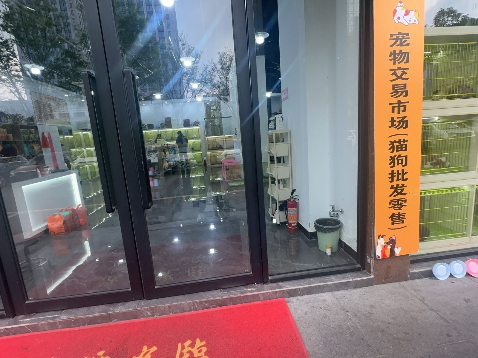 給我推薦一些杭州的寵物市場（杭州寵物市場） 給我推薦一些杭州的寵物市場（杭州寵物市場） 龍魚百科 第7張