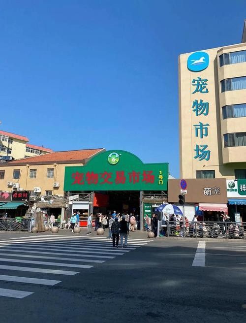 詳細閱讀:給我推薦一些杭州的寵物市場(杭州寵物市場) 給我推薦一些杭州的寵物市場(杭州寵物市場)