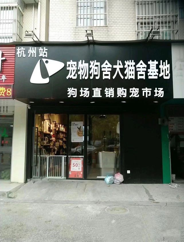 給我推薦一些杭州的寵物市場（杭州寵物市場） 給我推薦一些杭州的寵物市場（杭州寵物市場） 龍魚百科 第8張