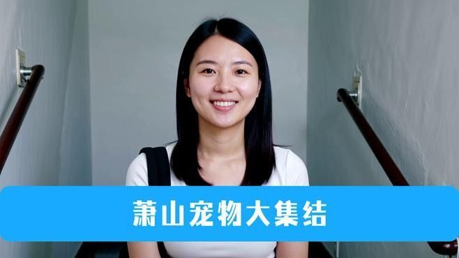 給我推薦一些杭州的寵物市場（杭州寵物市場） 給我推薦一些杭州的寵物市場（杭州寵物市場） 龍魚百科 第10張