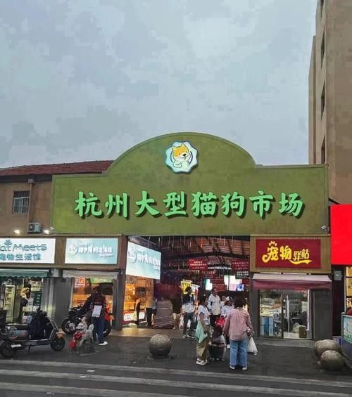 給我推薦一些杭州的寵物市場（杭州寵物市場） 給我推薦一些杭州的寵物市場（杭州寵物市場） 龍魚百科 第6張
