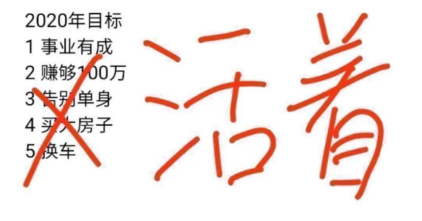 20200202就這樣過去了（——新冠病毒疫情爆發） 20200202就這樣過去了（——新冠病毒疫情爆發） 觀賞魚百科 第2張