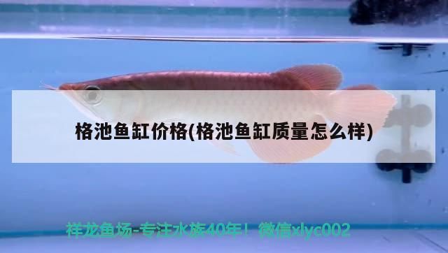 青島彩蝶魚缸代理地址(青島彩蝶魚缸代理地址電話)（浙江佳璐、江蘇森森、江蘇森森、四川森森貿易魚缸）