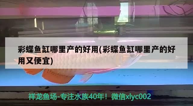 彩蝶魚缸哪里產的好用(彩蝶魚缸哪里產的好用又便宜)（彩蝶魚缸哪里產的好用）