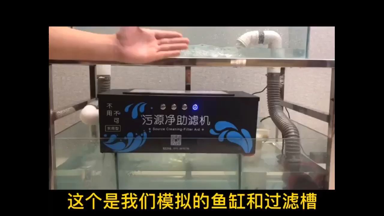 適合魚缸中小型魚池（中小型魚池設計）