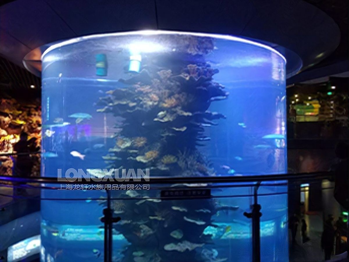 歐博龍魚缸的保修期是多久？（歐博龍魚缸保修多久？）
