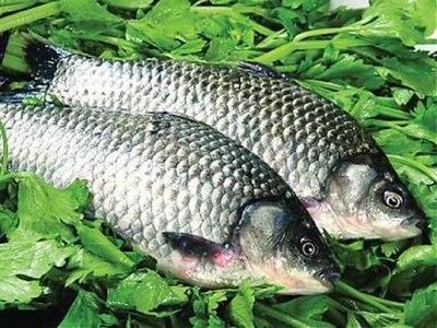 如何處理鳑鲏魚以減少風險（[需手動填充][需手動填充]魚怎么處理？）