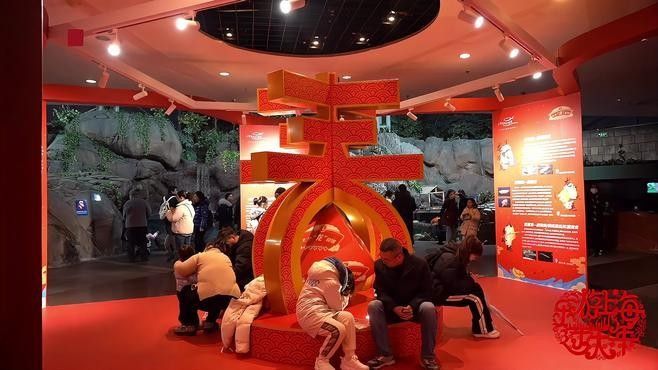 阿拉山口哪個水族館龍魚好？祥龍魚場龍魚（上海海洋水族館龍年新春“龍魚”與游客一起迎接龍年新民晚報）