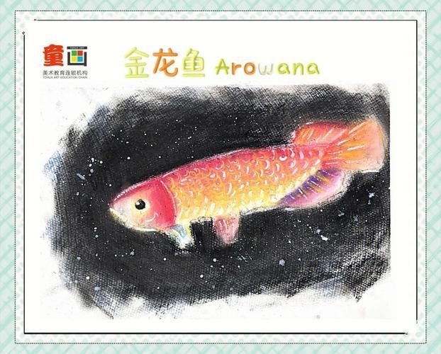 給我一張金龍魚發(fā)色階段詳解圖（金龍魚發(fā)色階段詳解圖） 給我一張金龍魚發(fā)色階段詳解圖（金龍魚發(fā)色階段詳解圖） 龍魚百科 第19張