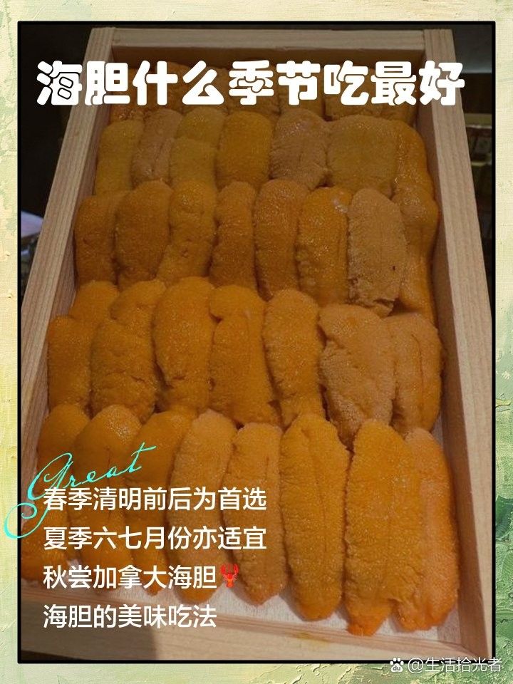 刺海龍的最佳食用季節(jié)（刺海龍的最佳食用季節(jié)主要集中在春季和秋季12） 刺海龍的最佳食用季節(jié)（刺海龍的最佳食用季節(jié)主要集中在春季和秋季12） 龍魚百科 第2張