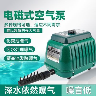 金龍魚規格有幾種：關于金龍魚的幾個疑問