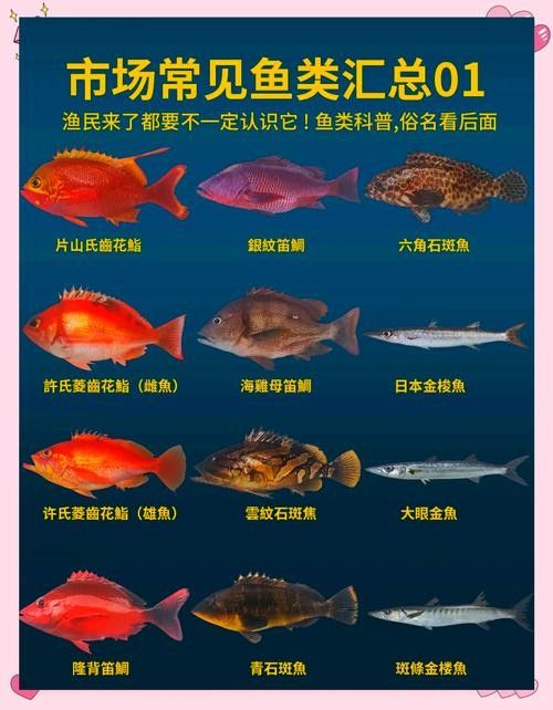 海底飛龍魚有哪些品種？（海底飛龍魚可以劃分為多個品種最常見的品種及其特征）