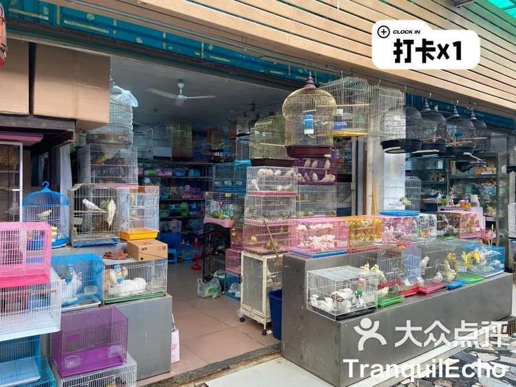 深圳龍魚市場在哪里？（深圳哪個龍魚市場最大？）