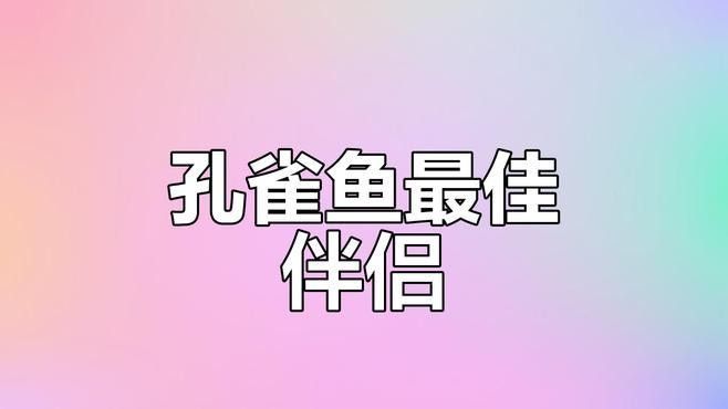 哪些魚類是溫和的混養(yǎng)選擇？（冷水魚和熱帶魚可以混養(yǎng)嗎）