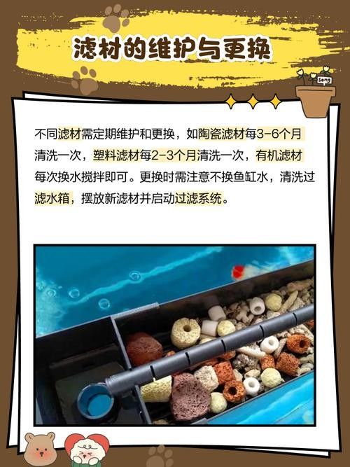 如何根據魚缸大小選擇濾材？（如何根據魚缸大小選擇合適的濾材）