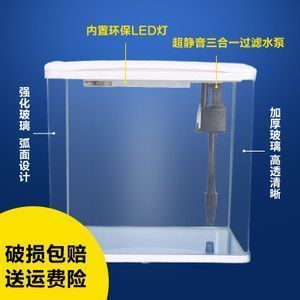 <strong><mark>湖州</mark></strong>觀賞魚市場怎么樣呀多少錢(<strong><mark>湖州</mark></strong>本地魚價)（<strong><mark>湖州</mark></strong>觀賞魚市場怎么樣）