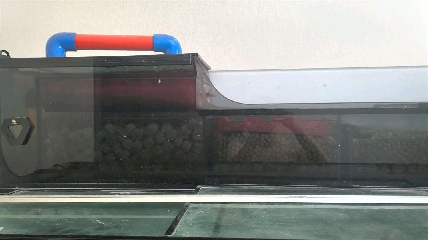 龍魚缸濾材多久清洗一次？（魚缸濾材多久清洗一次）