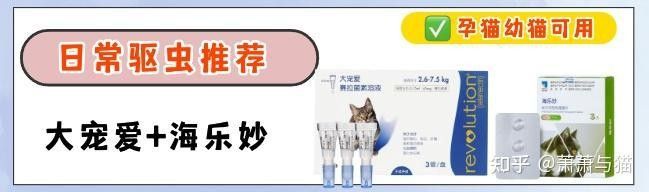 紅龍魚驅蟲后多久見效？（紅龍魚驅蟲后多久見效，答案取決于多種因素） 紅龍魚驅蟲后多久見效？（紅龍魚驅蟲后多久見效，答案取決于多種因素） 龍魚百科 第3張