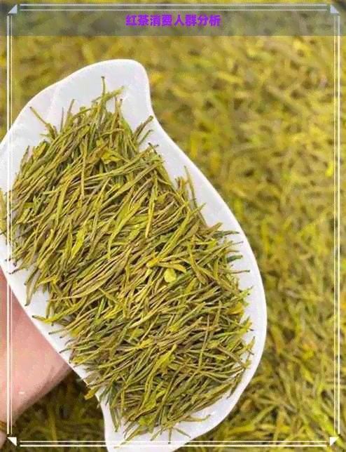 紅龍茶葉的主要消費群體是誰（2024中國新式茶飲爆品趨勢研究分析紅龍茶葉消費人群分析）