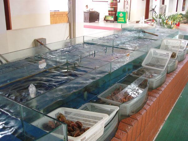 廣州哪里有魚缸批發市場賣的：廣州市觀賞魚批發市場