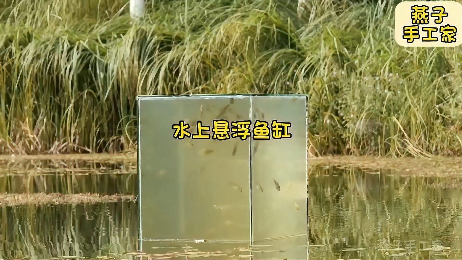 如何確保魚缸蓋的穩固性？（如何確保魚缸蓋的穩固性）