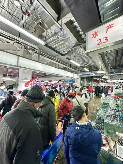 這三家店的龍魚價格如何？